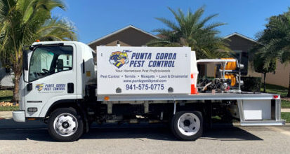 Pest Control Punta Gorda